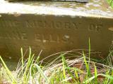 image of grave number 170566